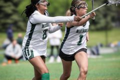 NYSPHSAA Gymnastic Championships. 2023-2024